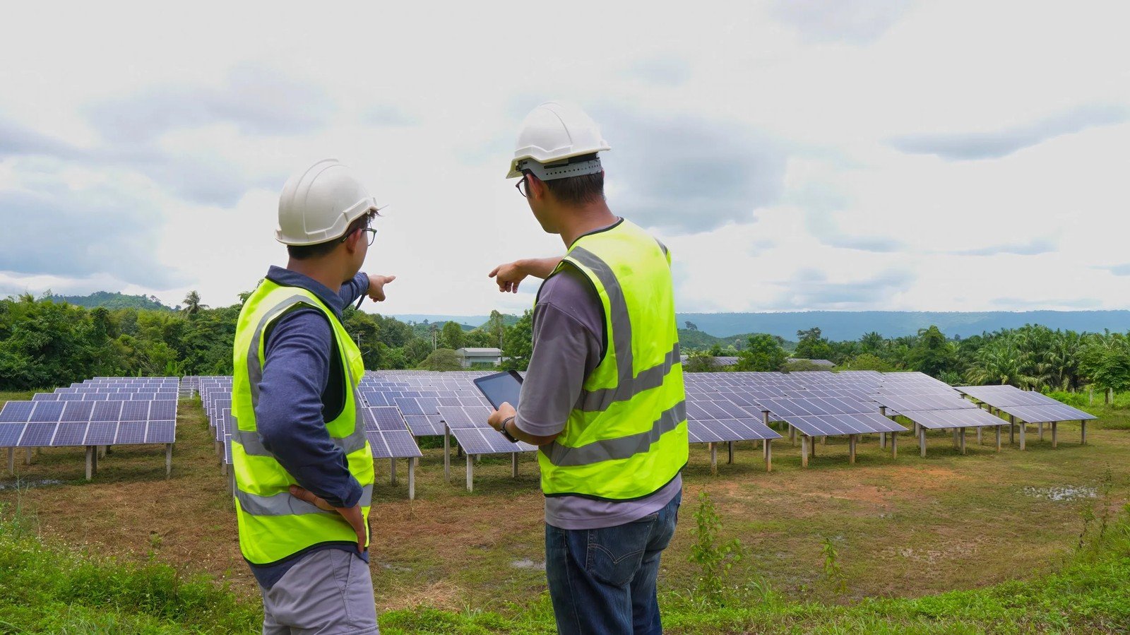 On-Site Surveys